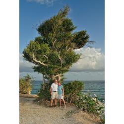 Jean Vallette Couple Photography in St.Martin, Mary and Don
