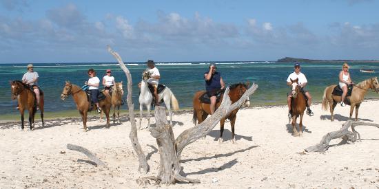 Jean Vallette Incentive Photo - Video